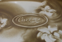 Презентация «Carrier – лидер индустрии биопозитивных технологий» на стенде компании